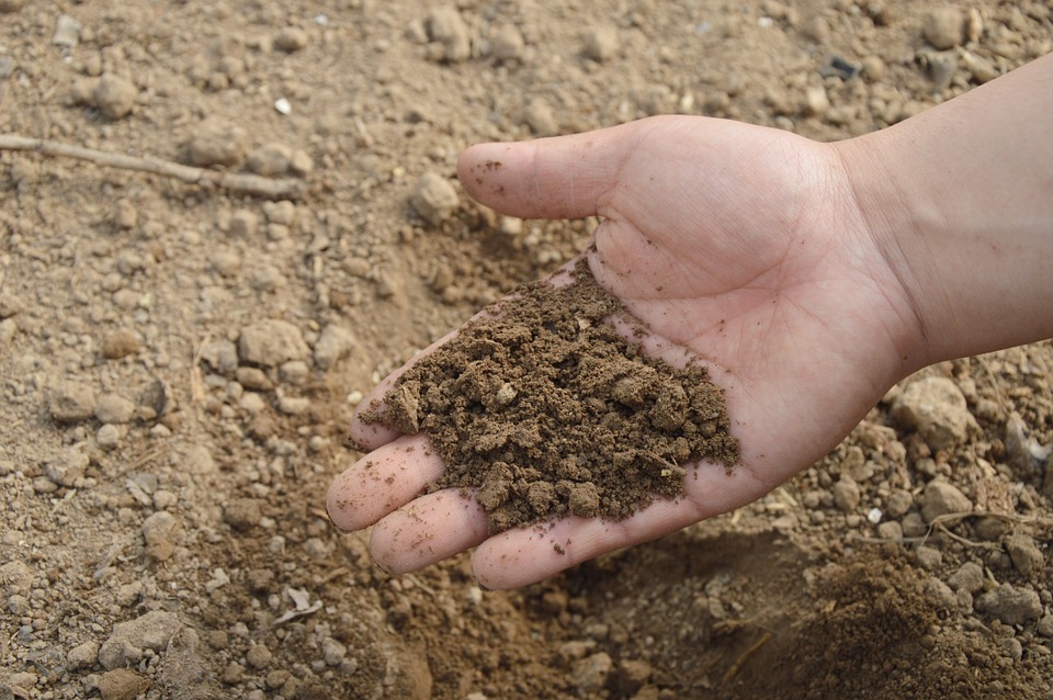 Mes conseils pour faire votre propre compost