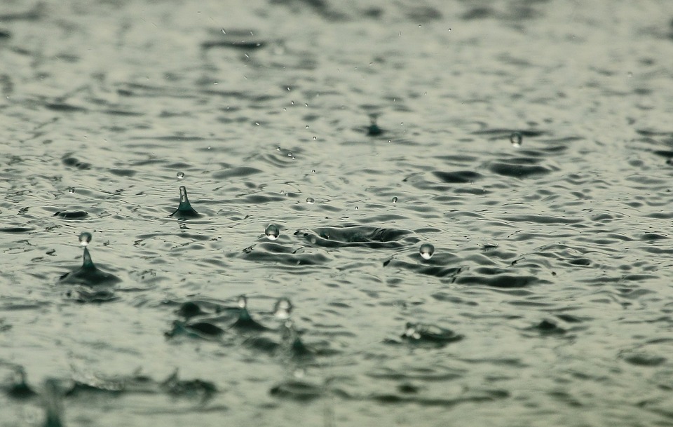 Récupérer l’eau de pluie, comprendre comment ce système fonctionne